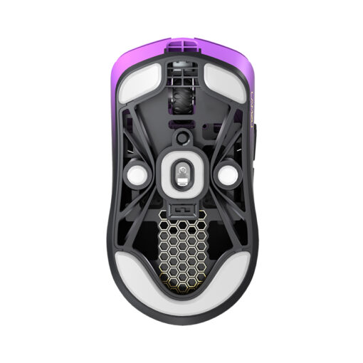 Lamzu MAYA Champion Edition | HID-Labs OnlineShop