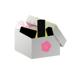 クリアランスパック2026年 梅